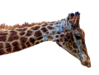 fractal Giraffe head face