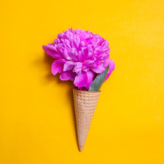 waffle cone with a big pink peony on yellow background. Creative design for pastel wallpaper.