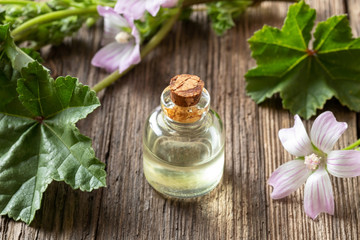 Obraz na płótnie Canvas A bottle of mallow essential oil with fresh malva neglecta flowers