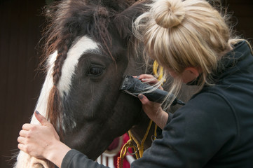 Young lady clipping a straight line on a pony head
