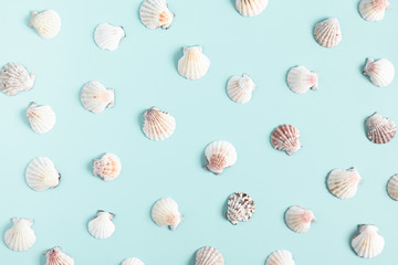 Sea beach composition. Seashell on pastel blue background. Summer concept. Flat lay, top view, copy space