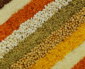 Beans, red lentils, green lentils, chickpeas and rice varieties