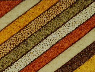 Beans, red lentils, green lentils, chickpeas and rice varieties