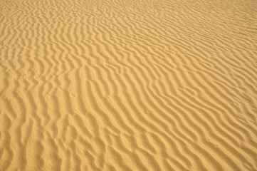 ripples in the sand