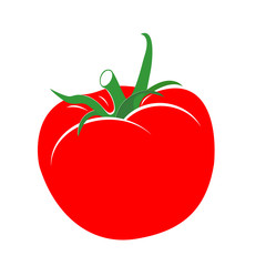 Tomato  Vector