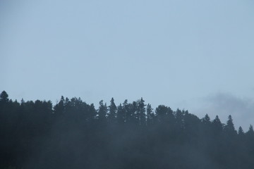 morning in the mountains