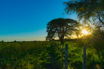 Paisajes de Campo, Chaco Argentino