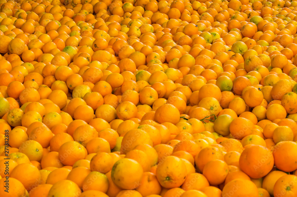 Wall mural mass of ripe citrus fruits orange background. orange cannery