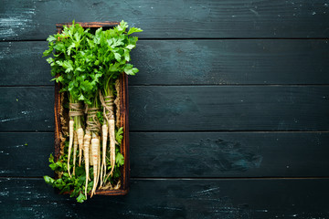 Root parsley on a wooden background. Top view. Free space for your text. - obrazy, fototapety, plakaty