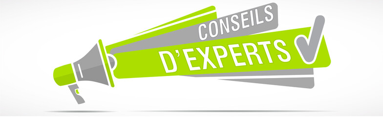mégaphone :  conseils d'experts