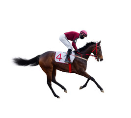 horse jockey race track isolated on white background