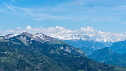 Obraz premium Bouquetin des Alpes