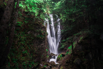 Obraz premium Une cascade perdu sous les feuilles et les arbres.