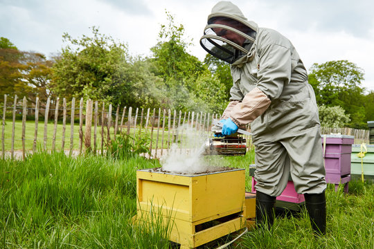 Bee Keeper and smoke