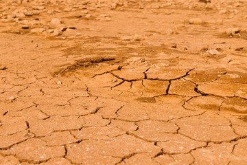 The texture of the dry and dehydrated surface of the earth with cracks close-up