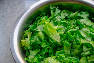 Fresh Salad leaves
