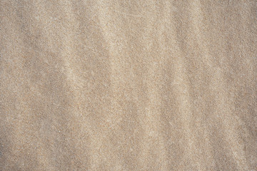 Fototapeta na wymiar Natural sand texture background close up. Copy space.