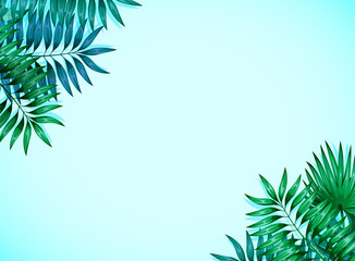 Fototapeta premium Frame of colorful tropical leaves. Concept of the jungle for the design of invitations, greeting cards and wallpapers. Vector illustration