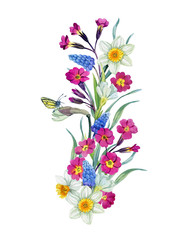 Spring flowers arrangement, watercolor hand drawn floral decoration with primula flowers, narcissus, hyacinth and little butterfly. Can be used as print, postcard, invitation, greeting card, textile.