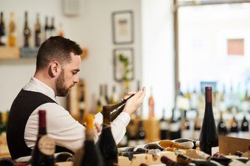 Side view portrait of professional sommelier choosing wine in vineyard or winery, copy space