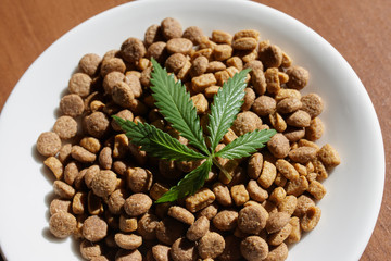 Treats for dogs and cats and green leaves of cannabis - CBD and medical marijuana for pets concept