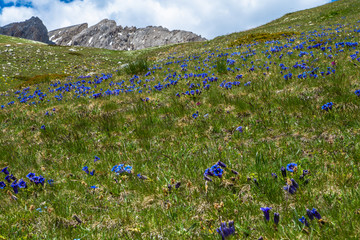 VALLE MAIRA, cuneo