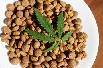 Treats for dogs and cats and green leaves of cannabis - CBD and medical marijuana for pets concept