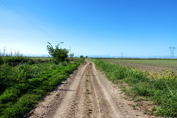 Fototapeta na wymiar countryside landscape with dirt road over sunny blue sky