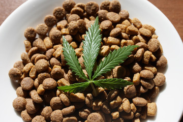 Treats for dogs and cats in white dishes with a green leaf of hemp close up - CBD and medical marijuana for pets. Recreational Marijuana and Hemp