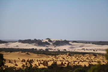 Fototapeta na wymiar The Pinnacles Desert and Shifting sand dunes in Western Australia