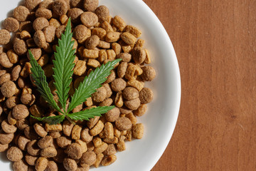 Treats for dogs and cats in white dishes with a green leaf of hemp close up - CBD and medical marijuana for pets. Recreational Marijuana and Hemp