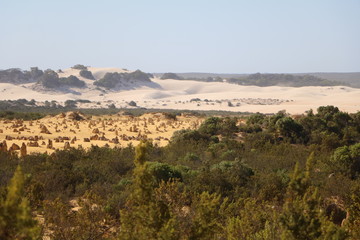 View to Pinnacles Desert and Shifting sand dunes in Western Australia