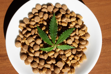 Treats for dogs and cats in white dishes with a green leaf of hemp close up - CBD and medical marijuana for pets. Recreational Marijuana and Hemp