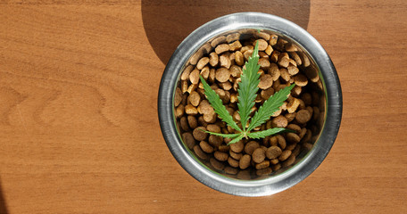Food delicacy for dogs and cats in dishes with a green leaf of hemp close-up - CBD and medical marijuana for pets