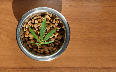 Food treat for dogs and cats in metal utensils with a green leaf of hemp close up - CBD and medical marijuana for pets