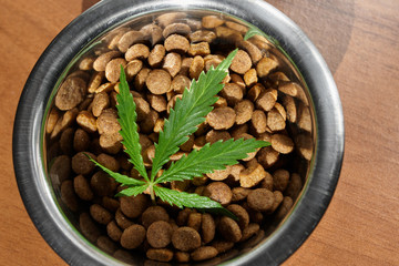 Food delicacy for dogs and cats in dishes with a green leaf of hemp close-up - CBD and medical marijuana for pets