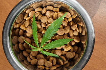 Food treat for dogs and cats in metal utensils with a green leaf of hemp close up - CBD and medical marijuana for pets