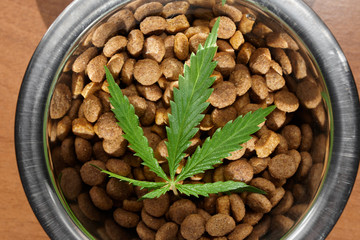Food treat for dogs and cats in metal utensils with a green leaf of hemp close up - CBD and medical marijuana for pets