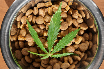 Food delicacy for dogs and cats in dishes with a green leaf of hemp close-up - CBD and medical marijuana for pets