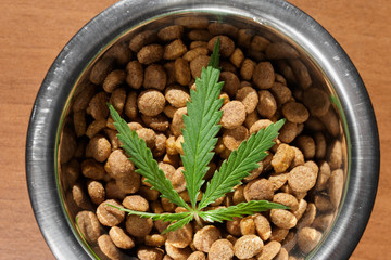 Food delicacy for dogs and cats in dishes with a green leaf of hemp close-up - CBD and medical marijuana for pets