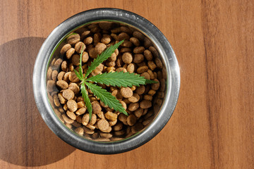 Food delicacy for dogs and cats in dishes with a green leaf of hemp close-up - CBD and medical marijuana for pets