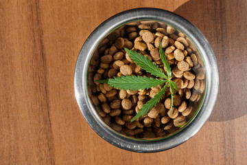 Food treat for dogs and cats in metal utensils with a green leaf of hemp close up - CBD and medical marijuana for pets