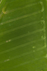 meadow with tractor tracks from above