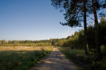 Fototapeta na wymiar natural tranquil landscape with road, green forest and blue sky