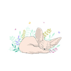 vector illustration of a little fox Fenech, a cute little animal with big ears sleeps , isolated on white background, cartoon design