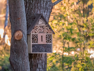 Insect hotel for bugs to provide shelter on tree. Nature sunset in background.