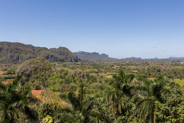 Fototapeta na wymiar Panoramic view over the scenic landscape with mogotes on a bright sunny, day with clear blue sky in Vinales Valley, Cuba. Area best know for tobacco plantations.