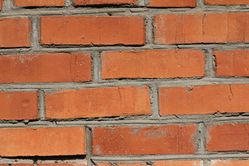 Obraz premium background texture macro