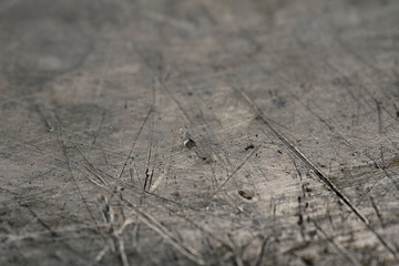  background texture macro