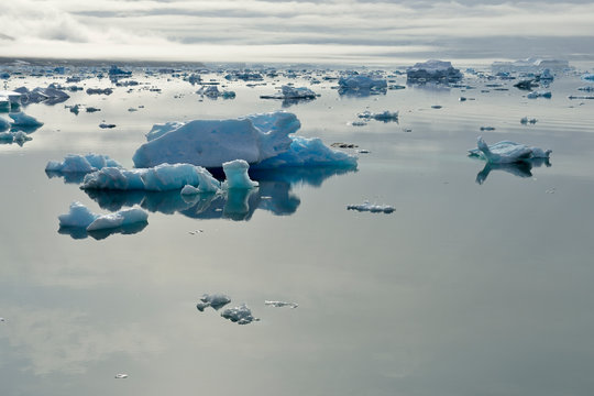 Greenland, East Greenland, Johan Petersens Fjord, Icebergs and drift ice